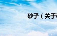 砂子（关于砂子的介绍）