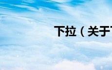 下拉（关于下拉的介绍）
