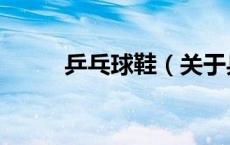 乒乓球鞋（关于乒乓球鞋的介绍）