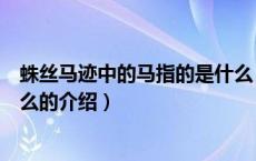 蛛丝马迹中的马指的是什么（关于蛛丝马迹中的马指的是什么的介绍）
