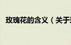 玫瑰花的含义（关于玫瑰花的含义的介绍）