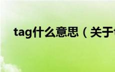 tag什么意思（关于tag什么意思的介绍）