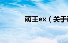 萌王ex（关于萌王ex的介绍）