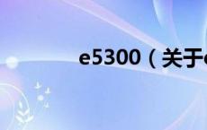 e5300（关于e5300的介绍）