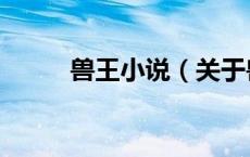 兽王小说（关于兽王小说的介绍）
