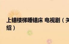 上错楼梯睡错床 电视剧（关于上错楼梯睡错床 电视剧的介绍）