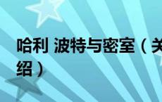 哈利 波特与密室（关于哈利 波特与密室的介绍）