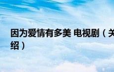 因为爱情有多美 电视剧（关于因为爱情有多美 电视剧的介绍）