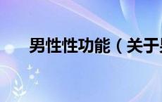 男性性功能（关于男性性功能的介绍）