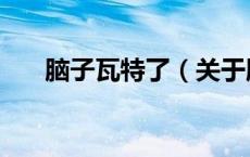 脑子瓦特了（关于脑子瓦特了的介绍）