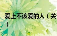 爱上不该爱的人（关于爱上不该爱的人的介绍）