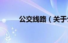 公交线路（关于公交线路的介绍）