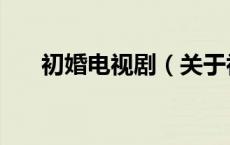 初婚电视剧（关于初婚电视剧的介绍）