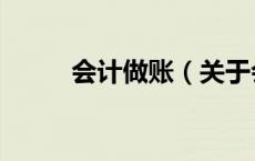 会计做账（关于会计做账的介绍）