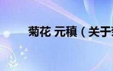 菊花 元稹（关于菊花 元稹的介绍）