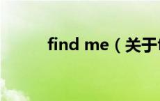 find me（关于find me的介绍）