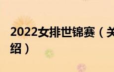 2022女排世锦赛（关于2022女排世锦赛的介绍）