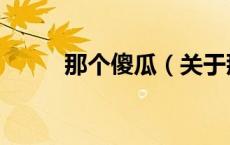 那个傻瓜（关于那个傻瓜的介绍）