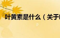 叶黄素是什么（关于叶黄素是什么的介绍）