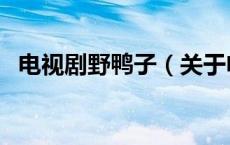 电视剧野鸭子（关于电视剧野鸭子的介绍）
