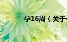 孕16周（关于孕16周的介绍）