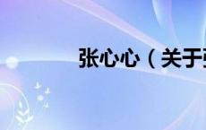 张心心（关于张心心的介绍）