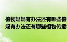 植物妈妈有办法还有哪些植物传播种子的方法（关于植物妈妈有办法还有哪些植物传播种子的方法的介绍）