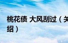 桃花债 大风刮过（关于桃花债 大风刮过的介绍）