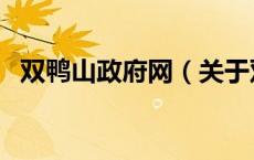 双鸭山政府网（关于双鸭山政府网的介绍）