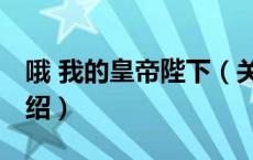 哦 我的皇帝陛下（关于哦 我的皇帝陛下的介绍）