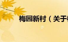 梅园新村（关于梅园新村的介绍）