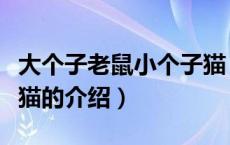 大个子老鼠小个子猫（关于大个子老鼠小个子猫的介绍）