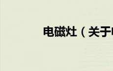电磁灶（关于电磁灶的介绍）