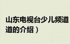 山东电视台少儿频道（关于山东电视台少儿频道的介绍）