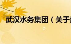 武汉水务集团（关于武汉水务集团的介绍）