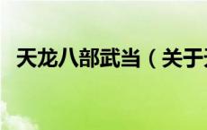 天龙八部武当（关于天龙八部武当的介绍）
