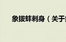 象拔蚌刺身（关于象拔蚌刺身的介绍）