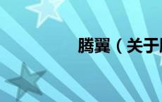 腾翼（关于腾翼的介绍）