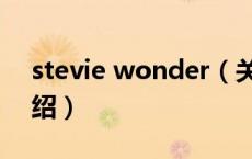 stevie wonder（关于stevie wonder的介绍）
