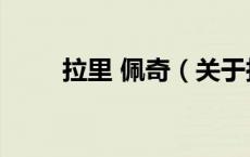 拉里 佩奇（关于拉里 佩奇的介绍）
