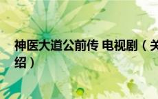 神医大道公前传 电视剧（关于神医大道公前传 电视剧的介绍）