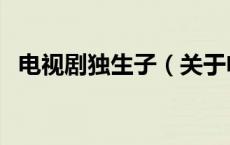 电视剧独生子（关于电视剧独生子的介绍）