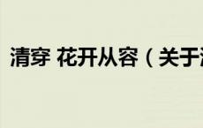 清穿 花开从容（关于清穿 花开从容的介绍）