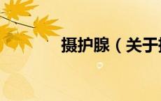 摄护腺（关于摄护腺的介绍）