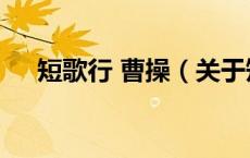 短歌行 曹操（关于短歌行 曹操的介绍）