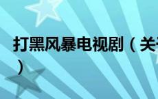 打黑风暴电视剧（关于打黑风暴电视剧的介绍）