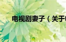 电视剧妻子（关于电视剧妻子的介绍）