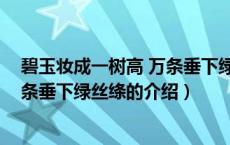 碧玉妆成一树高 万条垂下绿丝绦（关于碧玉妆成一树高 万条垂下绿丝绦的介绍）