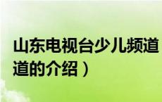 山东电视台少儿频道（关于山东电视台少儿频道的介绍）