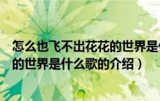 怎么也飞不出花花的世界是什么歌（关于怎么也飞不出花花的世界是什么歌的介绍）